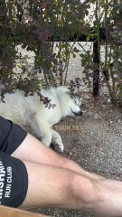 Idée pour la Toun : un peu plus de fermeté ?