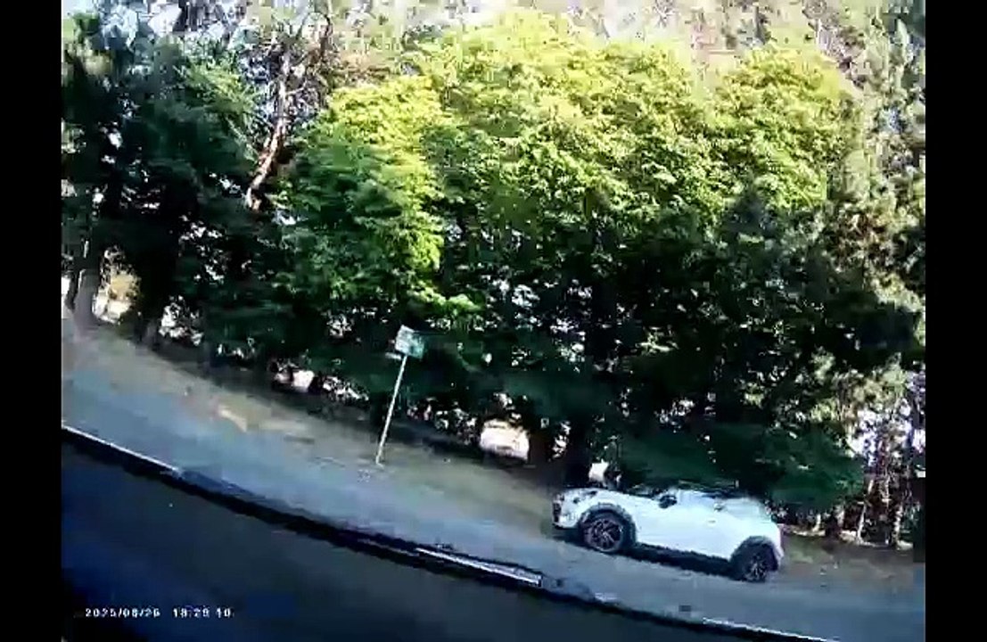 8/26/2025, (Targeted Individuals & Perp TV) Gangstalking PERPS Loiter Far Too Long & Really Stupid