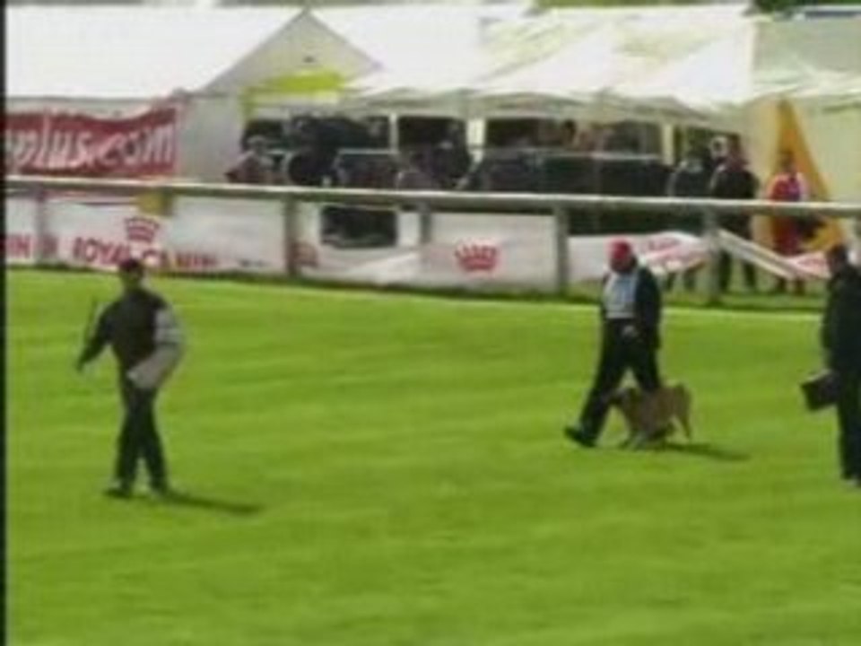 FMBB-2007-Mohr/Othar