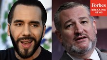 Ted Cruz Pressed On Bukele-MS-13 Deals: 'Would You Trust An Ally That Has Negotiated With Gangs?'