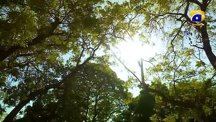 Baray Bhaiya Episode 74 Eng Sub Aijaz Aslam Maya Khan Rabya Kulsoom 27th August 2025