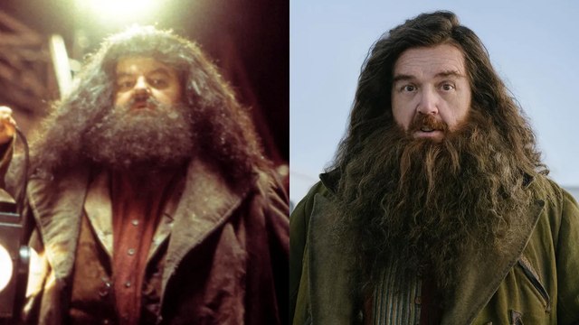 'Harry Potter' Director Chris Columbus Criticizes HBO Remake | THR News Video