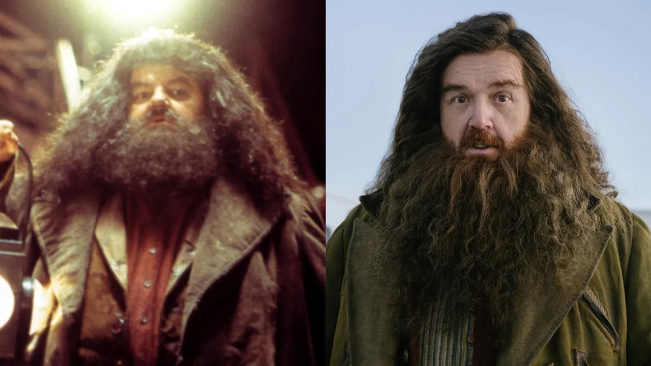 'Harry Potter' Director Chris Columbus Criticizes HBO Remake | THR News Video