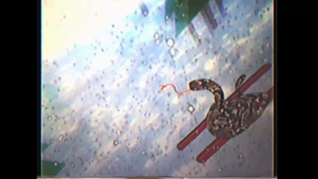 Beverly Hills Hair Salon