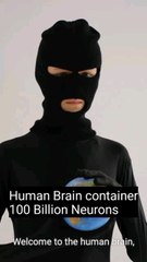 "Unlock the Secrets of Your Mind: Human Brain Complexities & Capabilities"