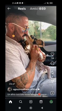 agozzino Alfredo cane ceduto dopo 20 giorni se non amate gli animali non fateveli