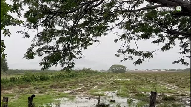 Carece el municipio de Bahía de Banderas colectores de aguas pluviales