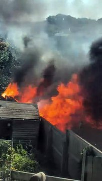 Flames roar in Washford gardens next to West Somerset Railway line on Bank Holiday Monday as filmed by Michelle Lane.