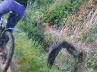 Ma Nette Ou Best qui fait du vélo