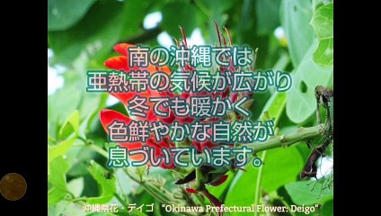 Zipangu (Japan) on the World Map