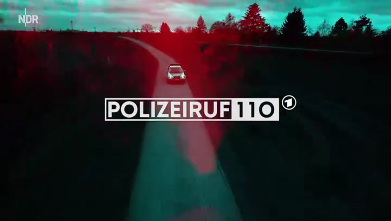 Polizeiruf 110 -383- Söhne Rostocks
