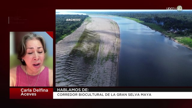 Corredor biocultural de la gran selva Maya | Carla Delfina Aceves