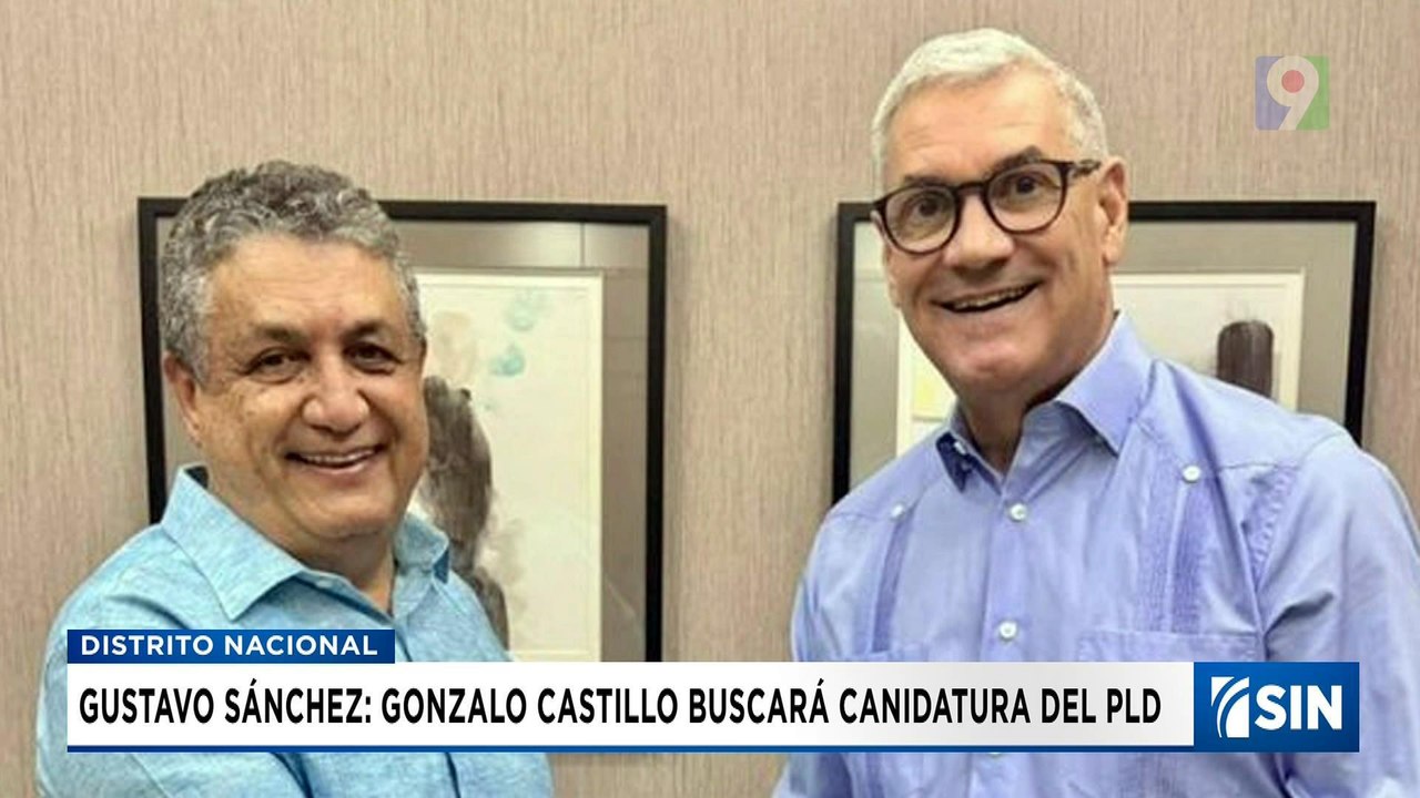 Gonzalo Castillo buscará candidatura presidencial del PLD en 2028 | Emisión Estelar SIN