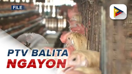 Kauna-unahang bakuna vs. bird flu, inaprubahan na ng FDA