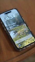 Midlife Flash Marriage - My Billionaire CEO #Dramabox