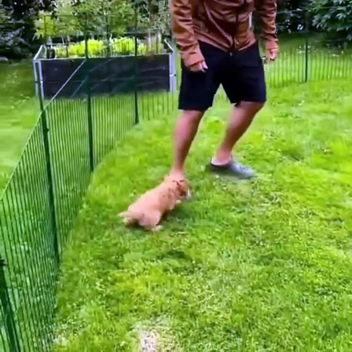 The jump…😊