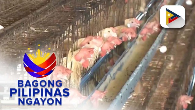 FDA, inaprubahan na ang kauna-unahang bakuna laban sa bird flu ayon sa D.A.