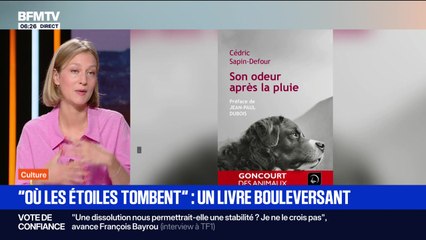 "Où les étoiles tombent" : un livre bouleversant - 28/08