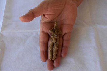 Göbeklitepe'den bin kilometre ötede: Aynı tarzda ve 8 bin yıllık