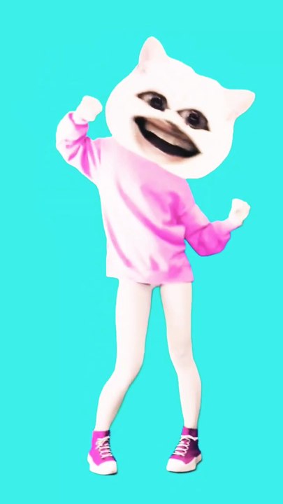 Funny cat dance👌😝🤣🤩🤓😂🥳🥳😜😜👀😆😆🤪🤪😁😸😸