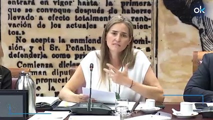Aagesen también culpa a las autonomías del PP de "no dimensionar sus recursos" contra el fuego