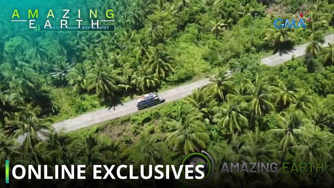 Amazing Earth: Why does everyone love watching ‘Amazing Earth’? (Online Exclusives)