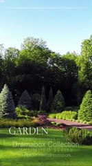 After Divorce, Three Aces Beg To Marry Me! (2025) - Full Movie