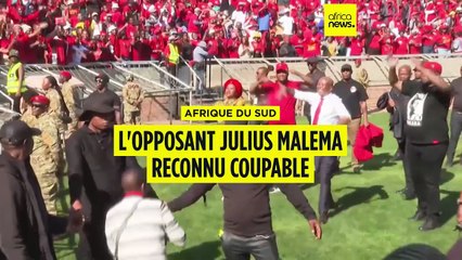 Afrique du Sud : Julius Malema jugé coupable d'appel à la haine