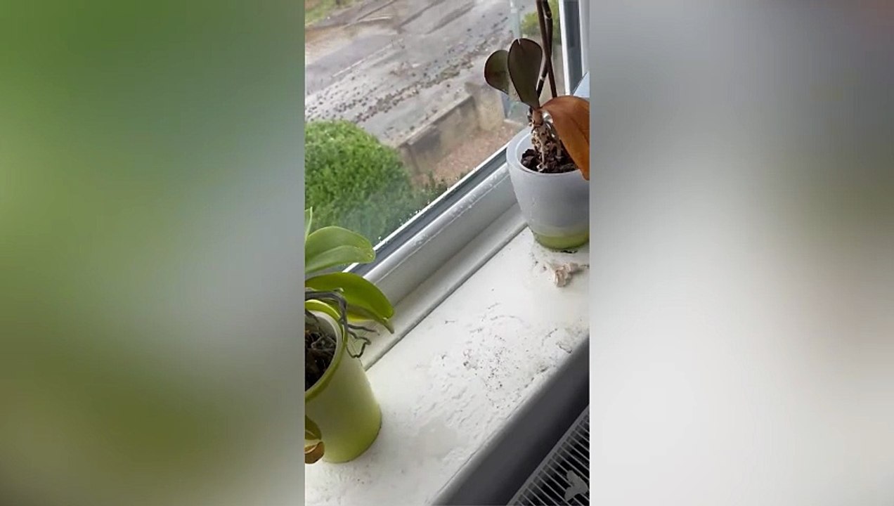 Yorkshire landlord fuming after burst water pipe causes £10,000 of damage to house