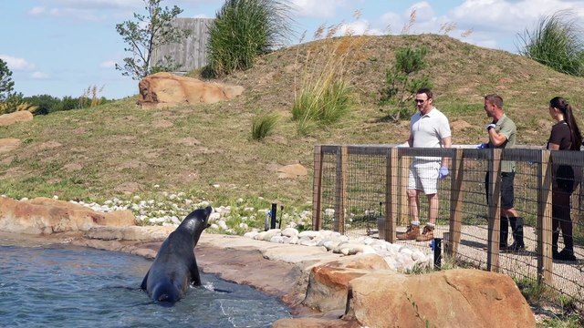 Classical music star Russell Watson meets sealions at Yorkshire Wildlife Park.