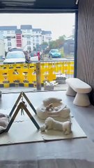 New Edinburgh stay-and-play studio for children opens