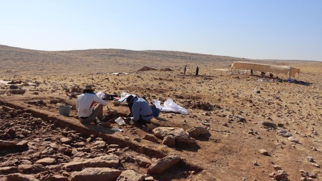 Mendik Tepe gün yüzüne çıkıyor: Göbeklitepe’den önce inşa edilmiş olabilir