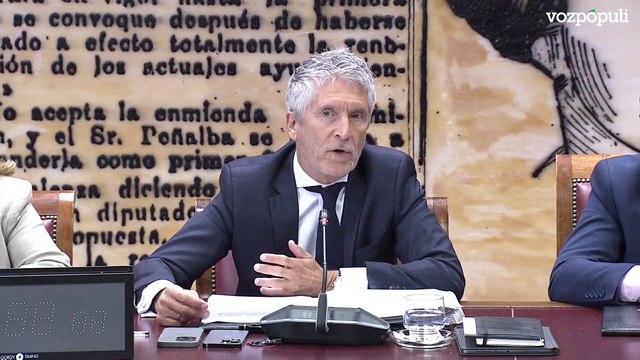 Marlaska: Ni siquiera en los incendios provocados podemos limitar el foco a los pirómano