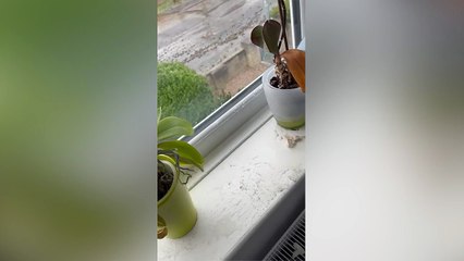 A landlord has been left with £10,000 worth of damage to his property after a water pipe exploded.