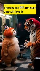 Orange cat had a bad haircut and he is not having it.