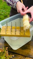 Turning a mango crop into a fancy accessory!