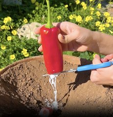 Prepare to have a lush garden right on your balcony with these easy hacks 🌶️ 🥬 #diy #gardening #fyp #craft #plantsoftiktok