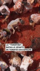 La Tomatina : les images impressionnantes de l’immense bataille de tomates en Espagne
