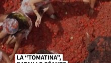 La Tomatina : les images impressionnantes de l’immense bataille de tomates en Espagne