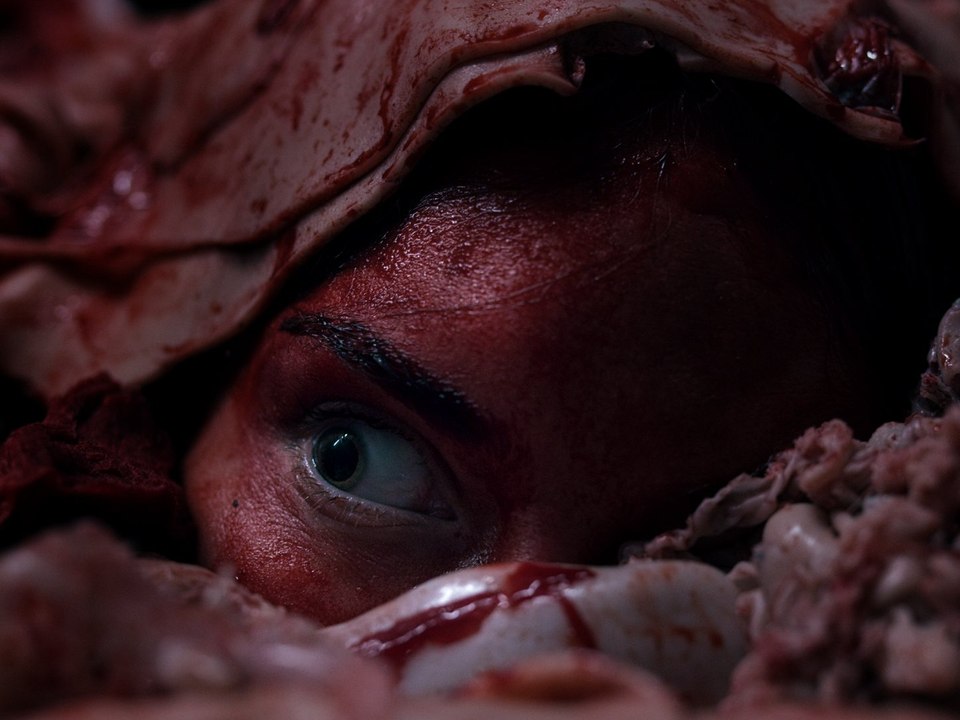 Vleesdag (Abattoir): Trailer HD VF