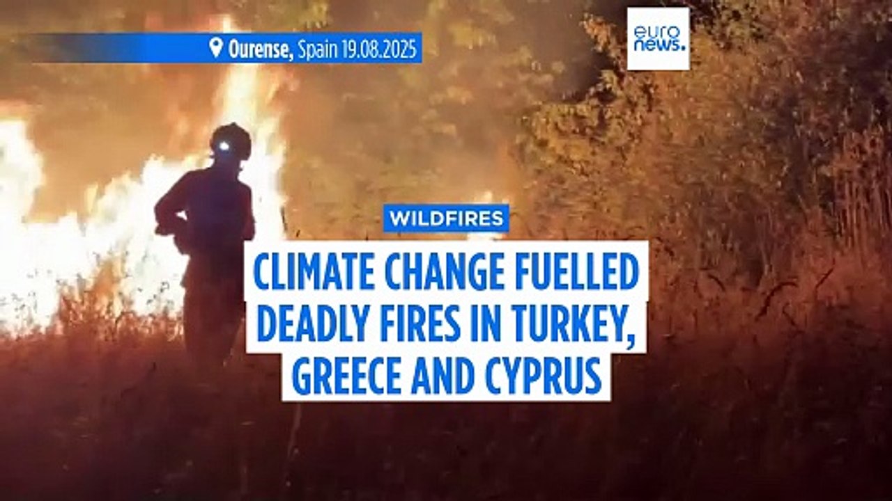 Climate change intensified weather that fuelled deadly wildfires in Türkiye, Greece and Cyprus