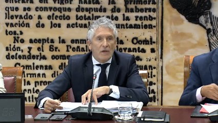 Marlaska reprende al PP por "distorsionar" el papel del Gobierno frente a los incendios