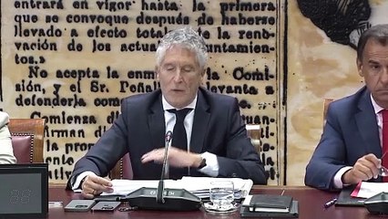Marlaska critica el uso "partidista" del Senado y de los incendios del PP