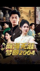 商海无涯梦回2004：李进源与陈诺的精彩故事（第1-30集）🎬