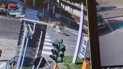 Tentato omicidio a Romano di Lombardia, il video dell'aggressione