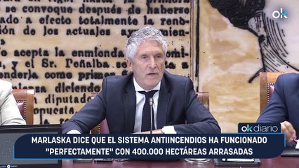 Marlaska dice que el sistema antiincendios ha funcionado "perfectamente" con 400.000 hectáreas arrasadas