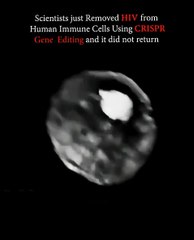 Video showing CRISPR targeting and destroying HIV in a cell