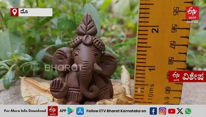 ಸೆಂಟಿಮೀಟರ್ ಎತ್ತರದ ಗಣೇಶ ಮೂರ್ತಿಗಳಿಗೆ ವಿಶ್ವ ದಾಖಲೆ! ಕಲಾವಿದೆಯ ಕೈಚಳಕದಲ್ಲಿ ಅರಳಿದ ನುಗ್ಗೆ ಹೂವು ಗಾತ್ರದ ಗಜಮುಖ