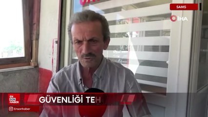 Samsun'da kırsalda başıboş köpekler korku salıyor