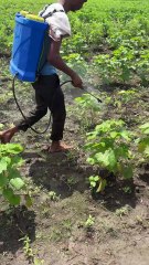 Day at Farm | Farmers Life India